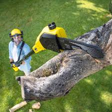 Lawn Maintenance Plans in Bullard, TX