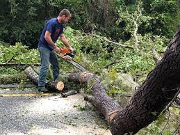 Best Aeration Services  in Bullard, TX